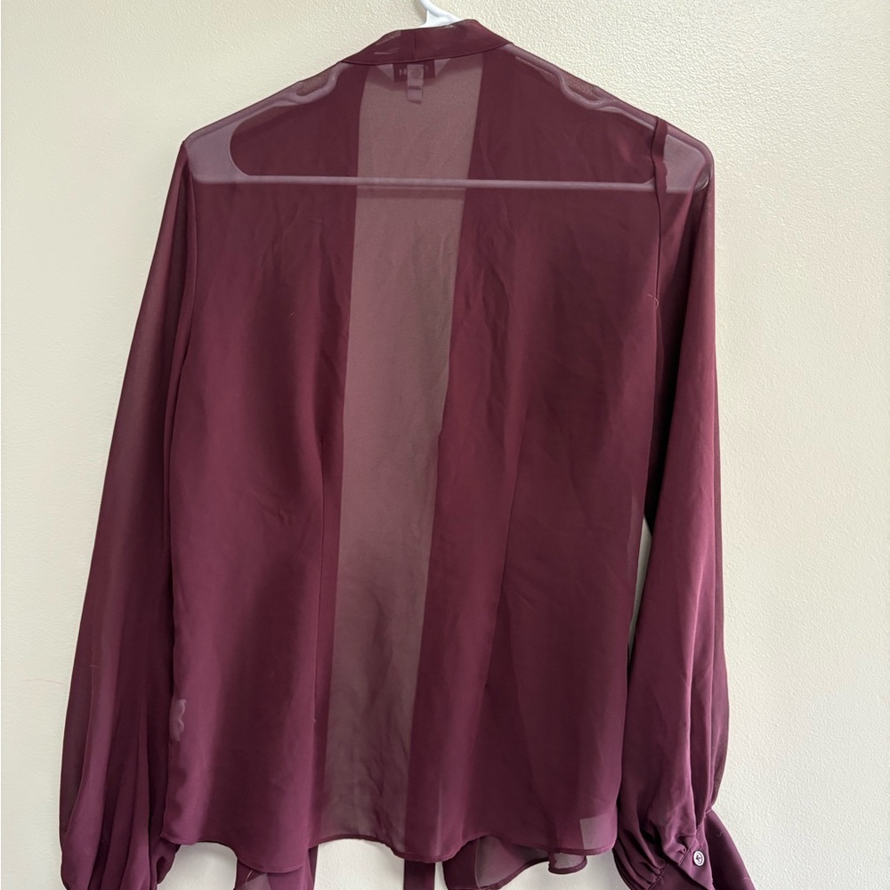 Express Sheer Plum Blouse - Picture 3 of 3